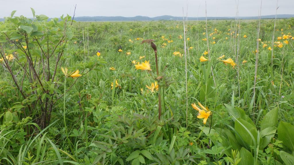 Penzion Kiritappuri Hokkaido Exteriér fotografie
