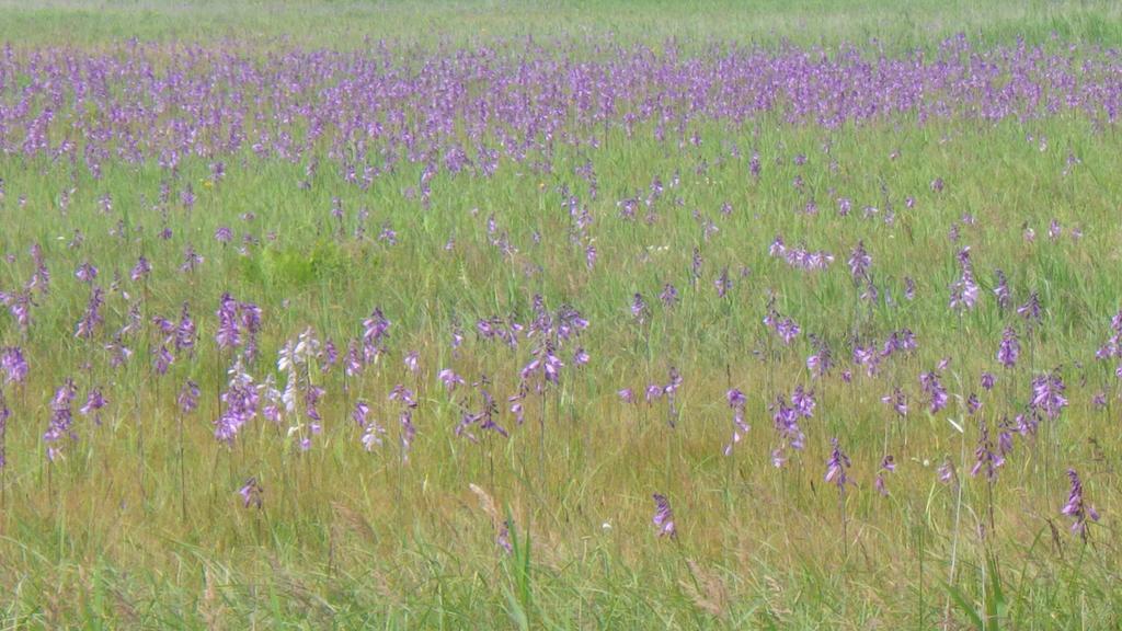 Penzion Kiritappuri Hokkaido Exteriér fotografie