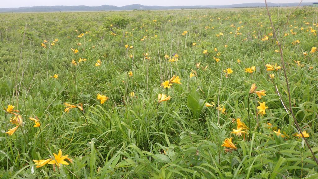 Penzion Kiritappuri Hokkaido Exteriér fotografie